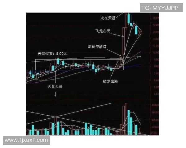从零基础到高手之路滑板耐力训练全方位指南与技巧分享