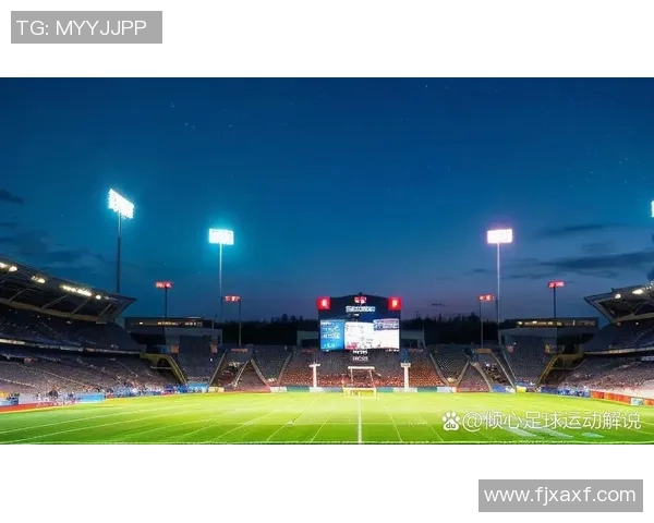 足球特勤队勇闯赛场揭秘幕后英雄与战术智慧的完美结合